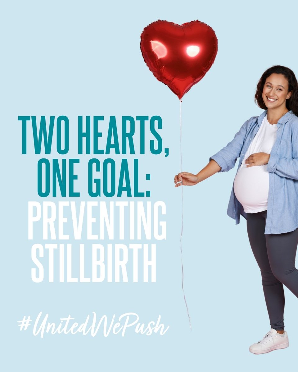 PUSH for Empowered Pregnancy tweet media