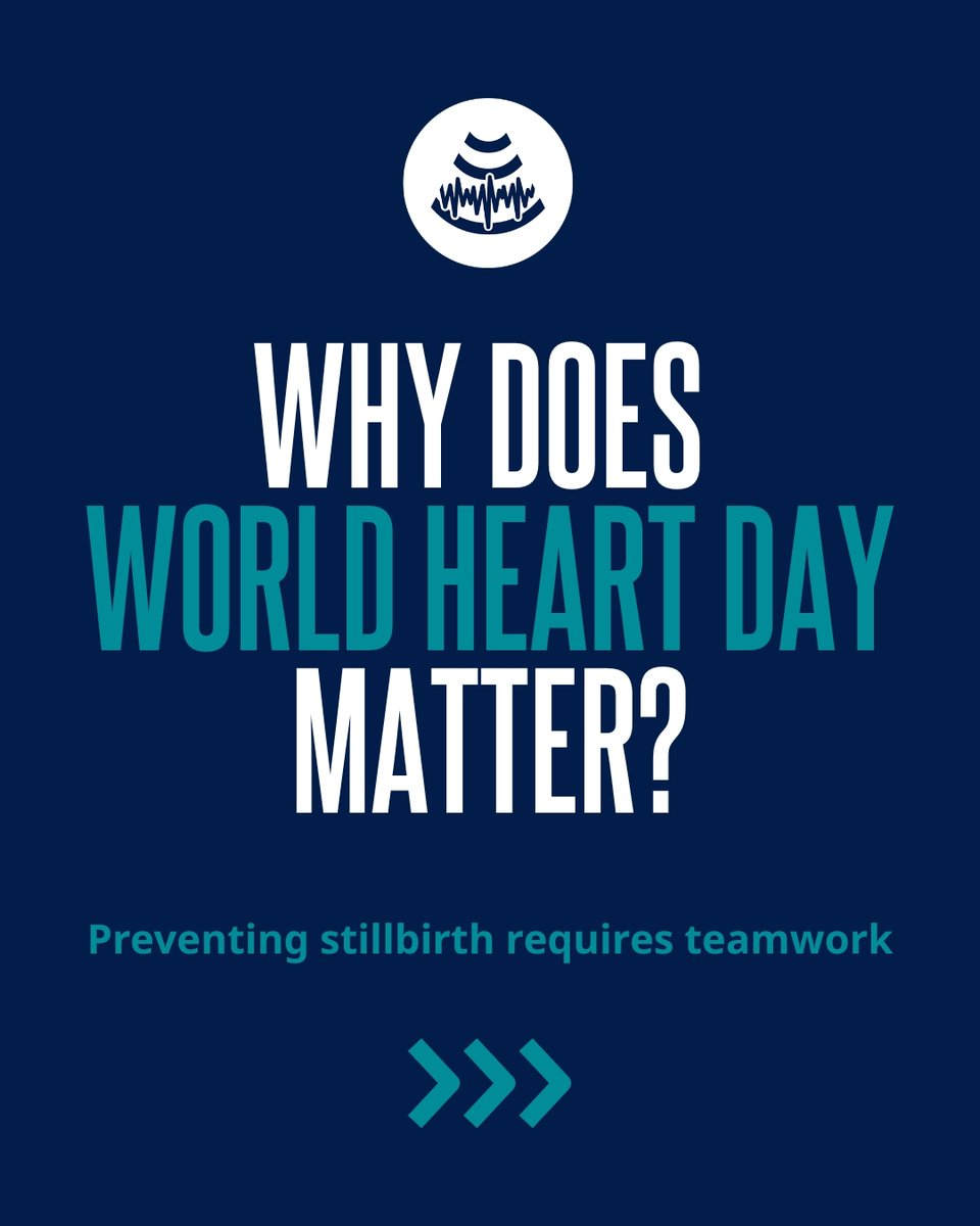 PUSH for Empowered Pregnancy tweet media