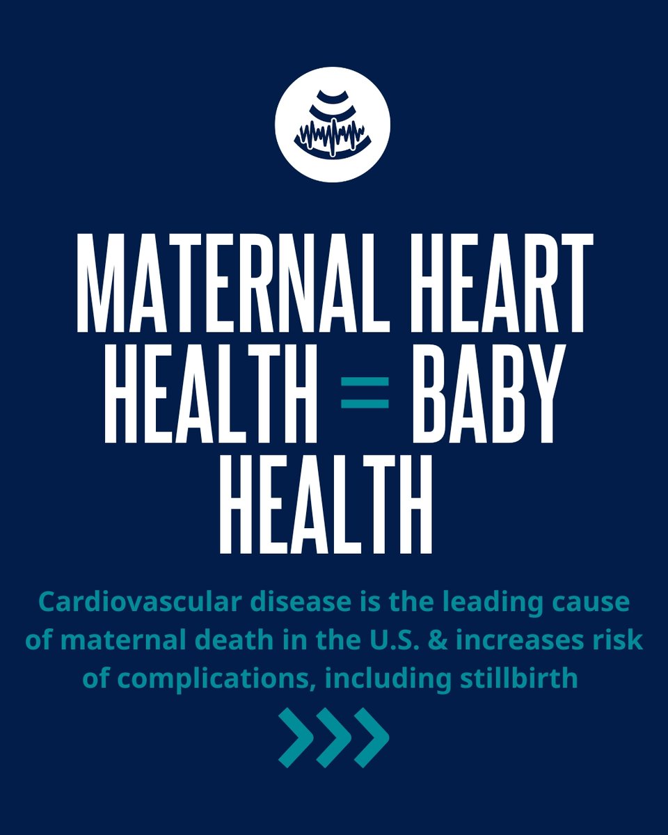 PUSH for Empowered Pregnancy tweet media