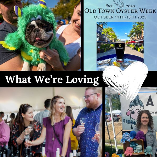 Monday Musings ✨ + More - mailchi.mp/alexandriastyl…