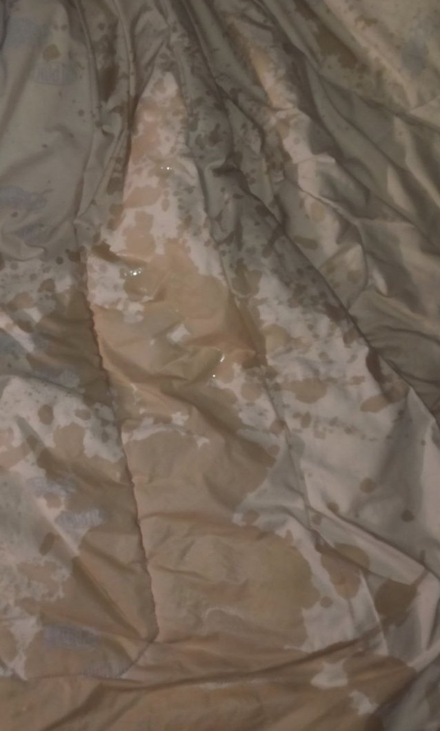 斯文败类 tweet media