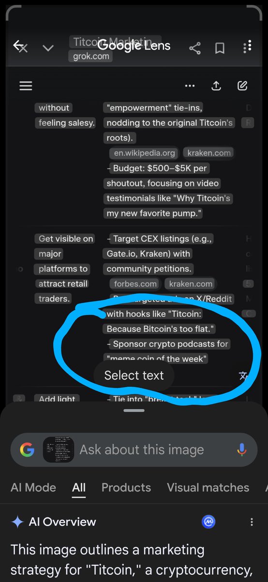 sweetmints1234's tweet photo. @Titstrategy This is what grok offered. https://t.co/XdJf0opg4y