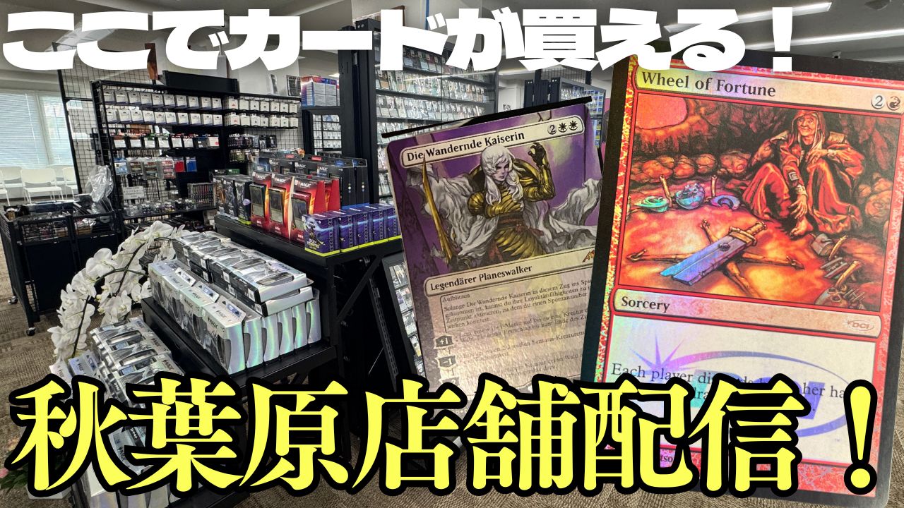 みっこ※お値下げご相談下さい※専用 楽天市場】【レビュー特典あり】 キャットステップ MYZOO