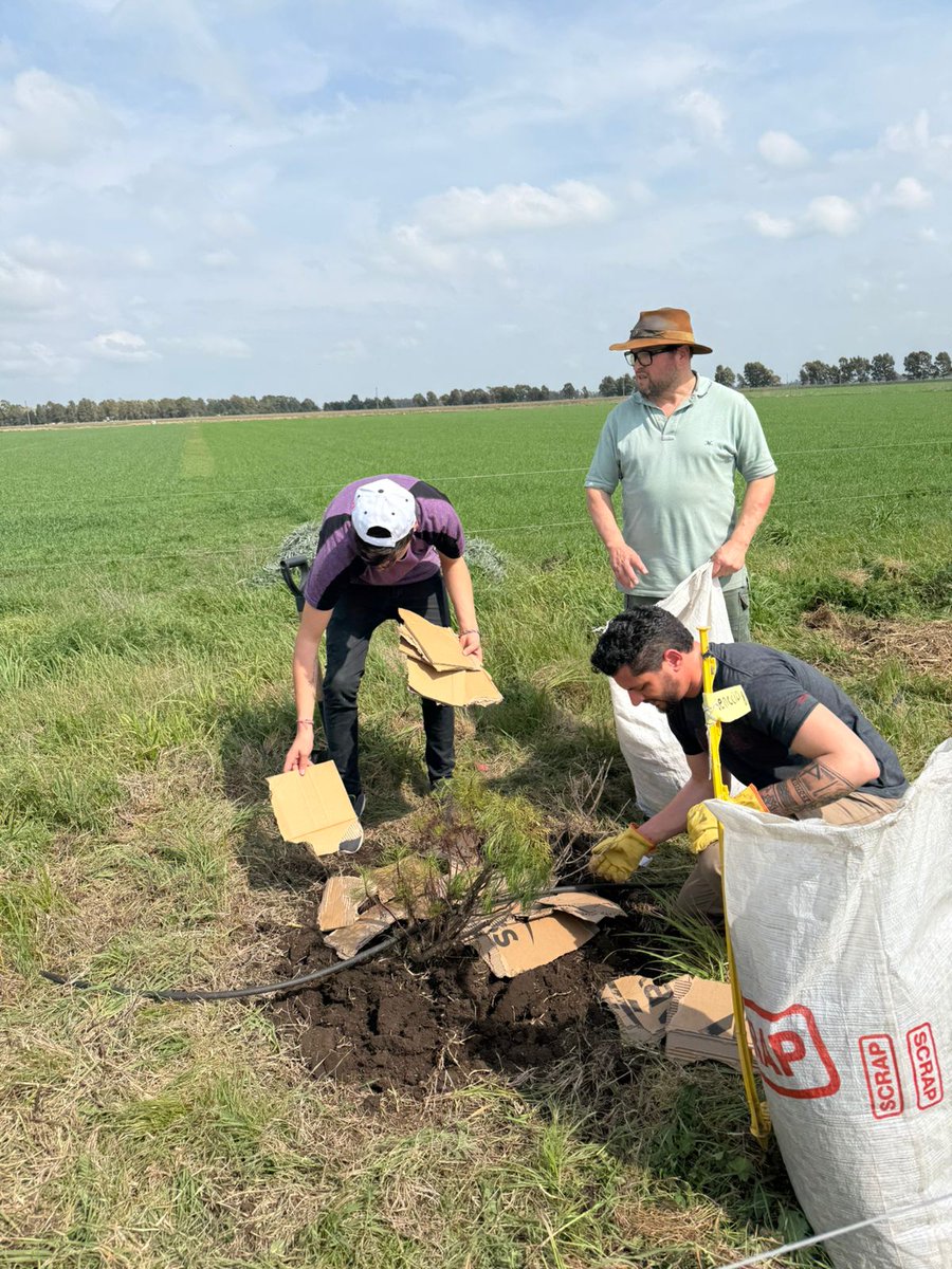 CEI Barrow (MDA - INTA) tweet media