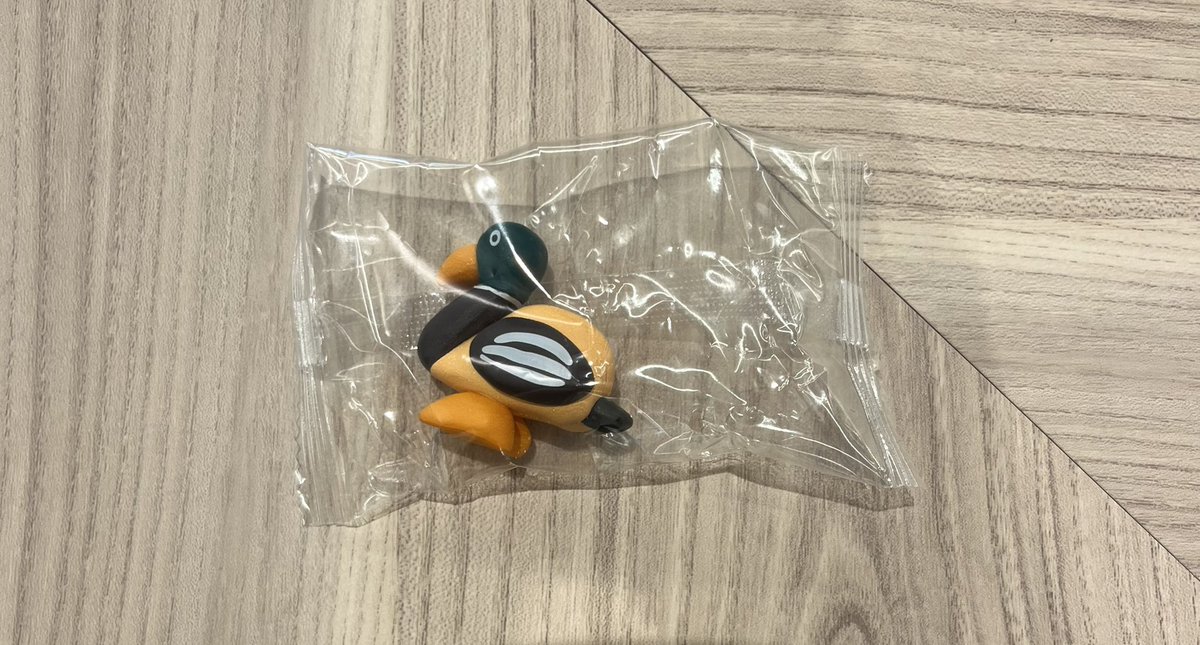 yuki 🐯 tweet media