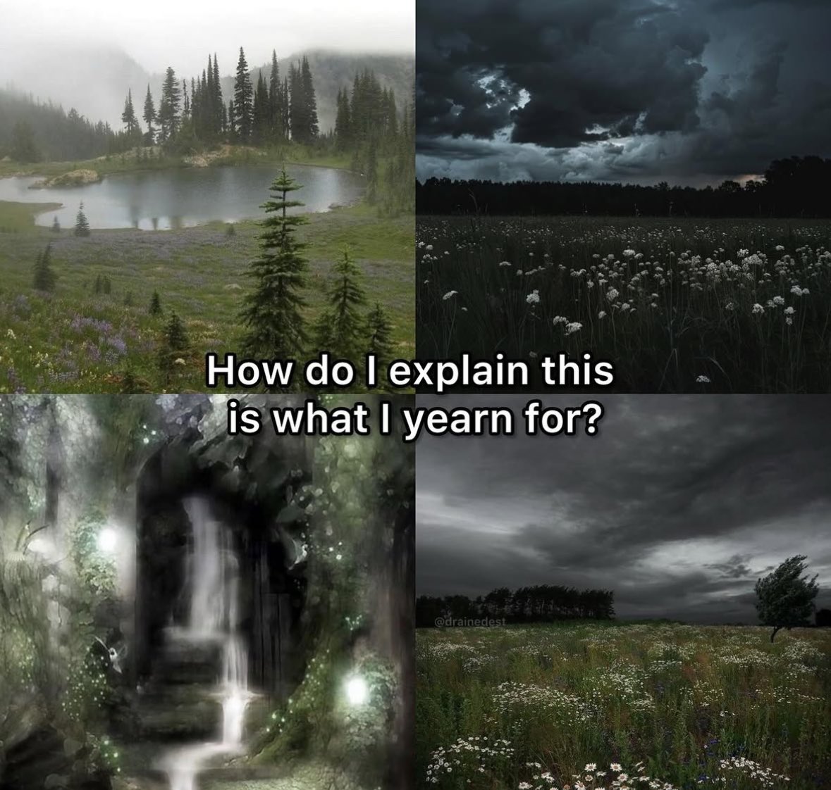 ✧ (@northstardoll) on Twitter photo 