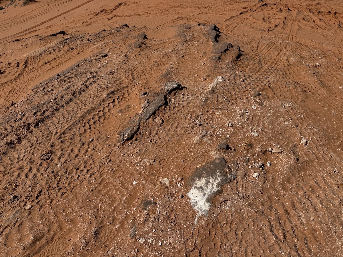 🌸Sakuras Card Shop🌸 tweet media