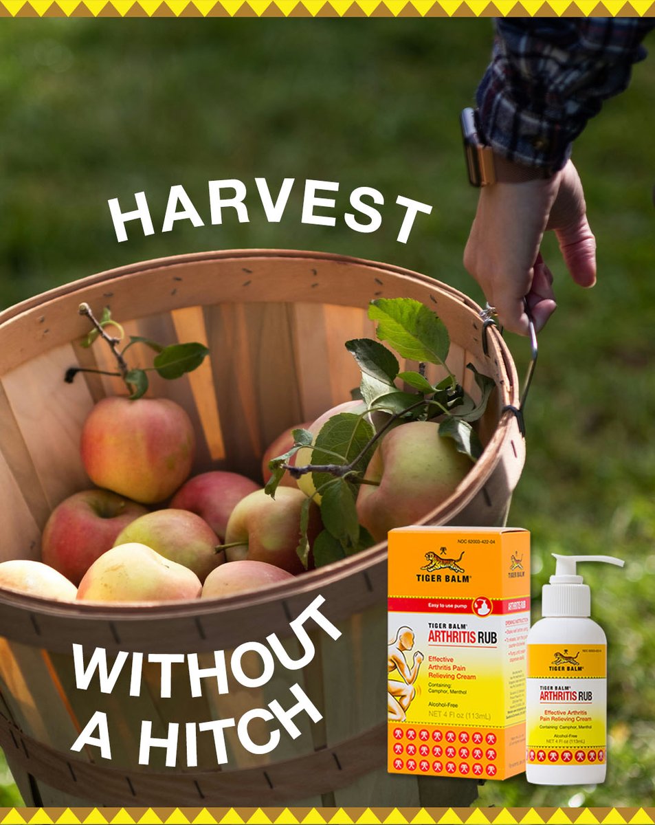 Tiger_Balm_US's tweet image. Fall fun, pain free ! 🍁 Whether you’re picking apples, baking, or getting outdoors, Tiger Balm keeps you going strong! 💬 What’s your favorite fall activity? 

#TigerBalm #WorksWhereItHurts #FallVibes #HarvestWithoutaHitch #TigerBalmExtraStrength #TigerBalmArthritisRub