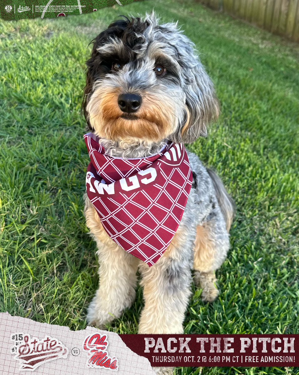 Join Luna on Thursday for pups at the pitch! You can get a bandanna just like this for your dog!!!
<a href="/HailStateSOC/">Mississippi State Soccer</a> 
#packthepitch