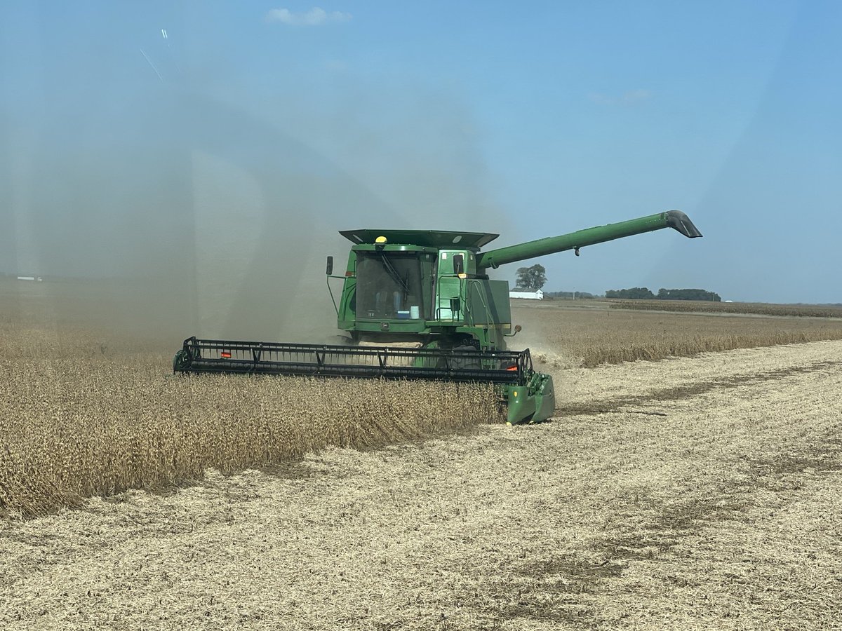 Another beautiful field of P32Z91E soybeans! #PlantPioneer