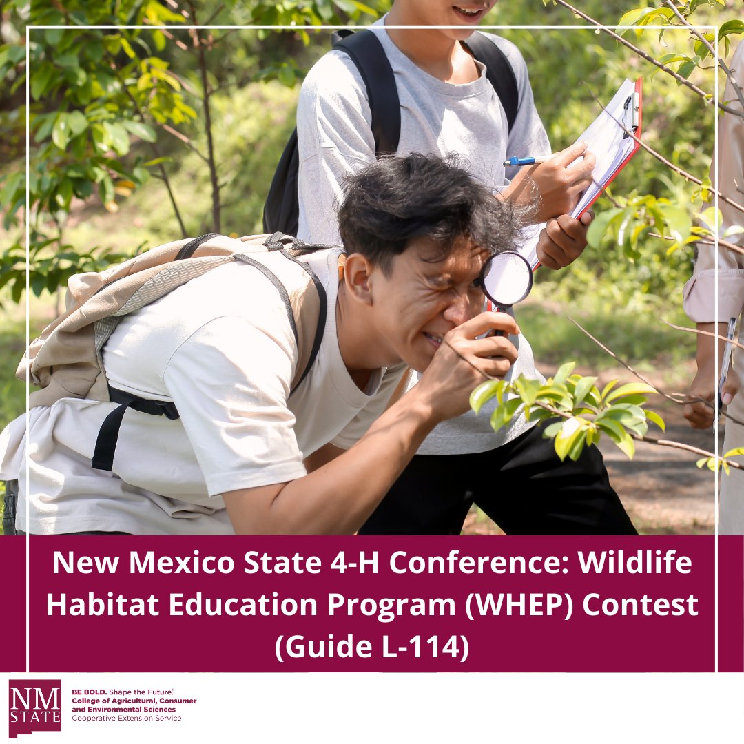 NMExtensionPubs's tweet image. Explore New Mexico&apos;s Wildlife Habitat Education Program (WHEP) Contest details, eligibility, activities, and preparation tips for a rewarding wildlife management experience: pubs.nmsu.edu/_l/L114/index.…
#NMSU #NMSUExtension #NewMexico #NMWHEP #4H