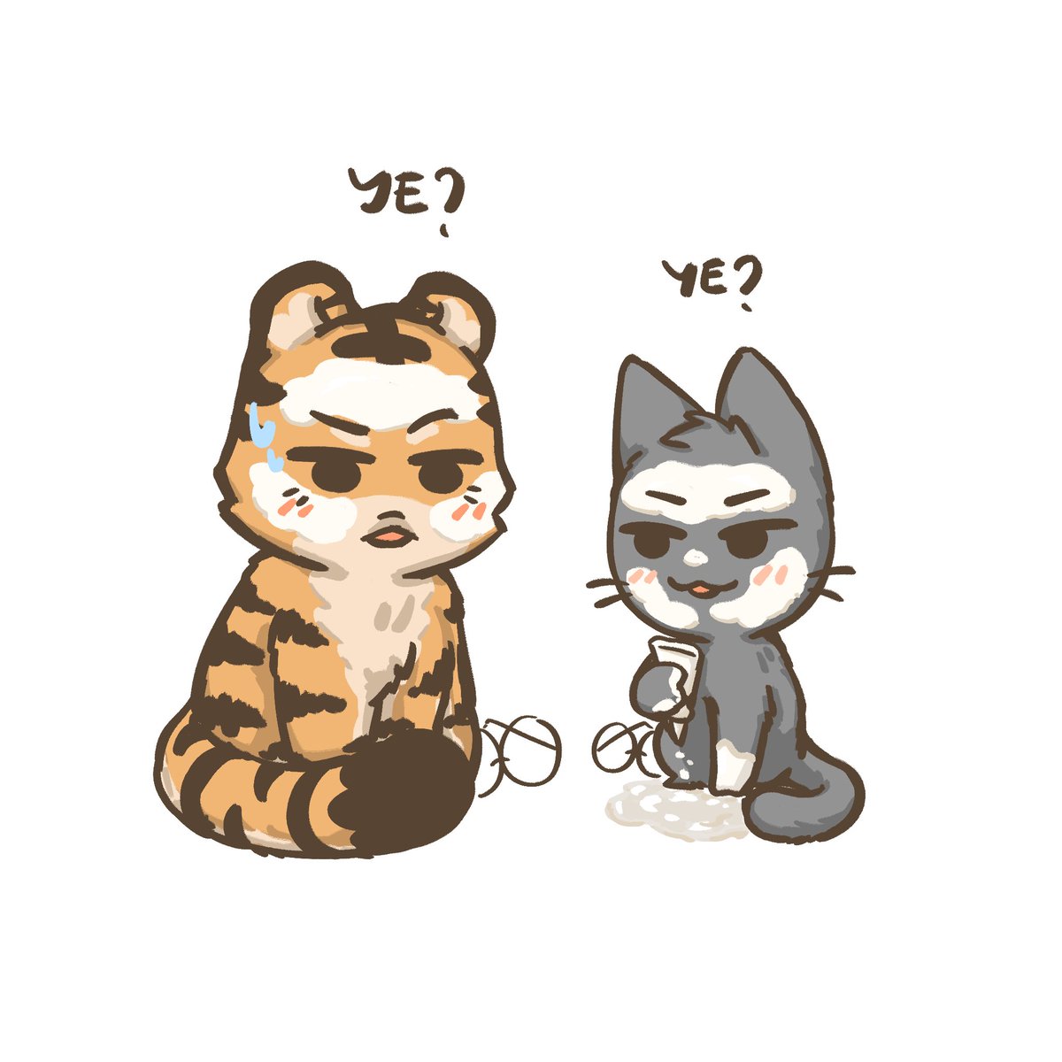 C-Cat แมว 🐈‍⬛ (@cattycat_510) on Twitter photo 