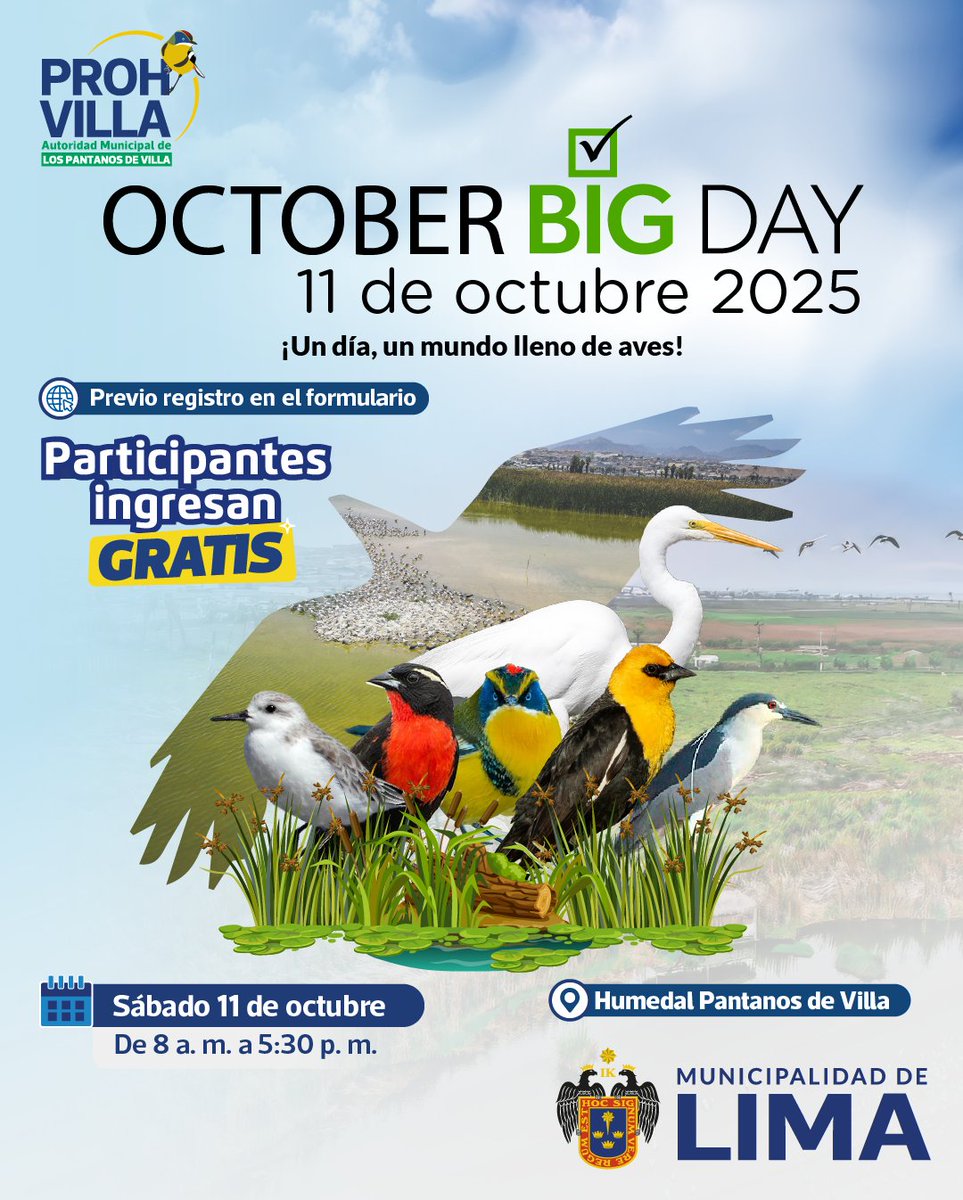 🦩🌍 ¡Se viene el October Big Day en el Humedal Pantanos de Villa! 🌿✨

📌 Único pago de S/5 por persona (incluye guiado, indispensable por persona).
📲 Inscríbete aquí y asegura tu lugar 👉 forms.gle/v9ywqvQ5dFufrE…

#OctoberBigDay #HumedalPantanosDeVilla #ObservaciónDeAves
