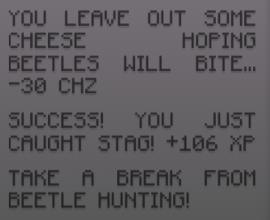 FINALLY GOT A STAG BEETOL!!