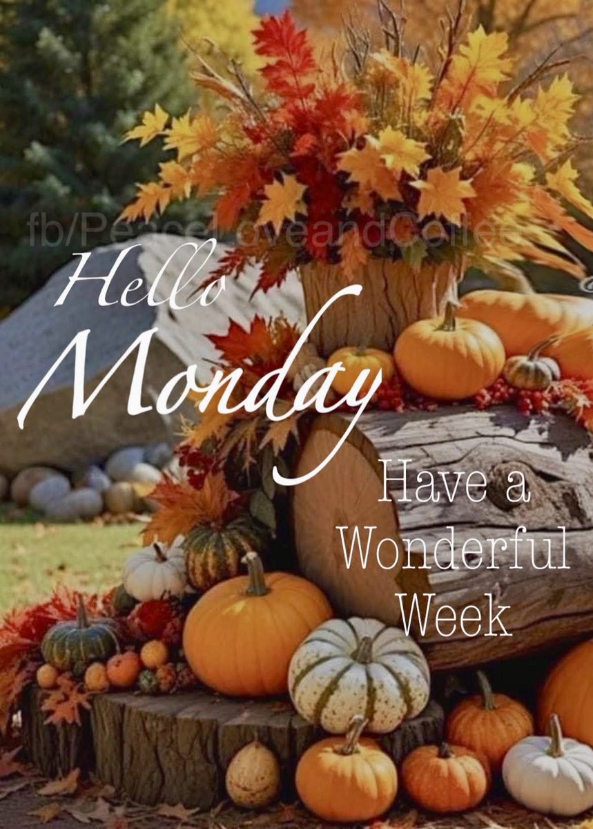 LejmanMargie's tweet photo. Hello Monday 🍁☀️🍂
#pumpkintime #newweek https://t.co/hhPcMQzzFd