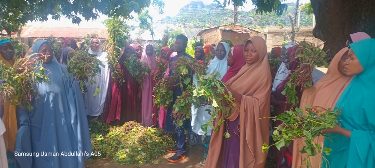 EsomchiF's tweet image. In Kogi Community (Dass LGA, Bauchi State), we trained farmers—mostly women—on good agronomic practices, nutrition &amp;amp; economic opportunities of #OFSP. Vines for planting &amp;amp; roots for households were shared. A step toward stronger nutrition &amp;amp; incomes!  #PropcomPlus