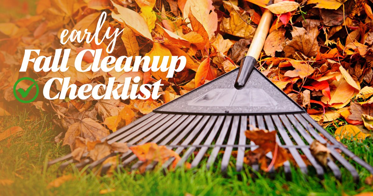 HoupLandscaping's tweet image. 🍂 Ready for fall? September’s the time to prep your yard!
✅ Deadhead blooms
✅ Pull fading annuals
✅ Final weed sweep
✅ Light pruning
✅ Clear debris
🌱 Plant while it’s cool
Get ahead before the leaves drop!
#FallLandscapePrep #LandscapeTips