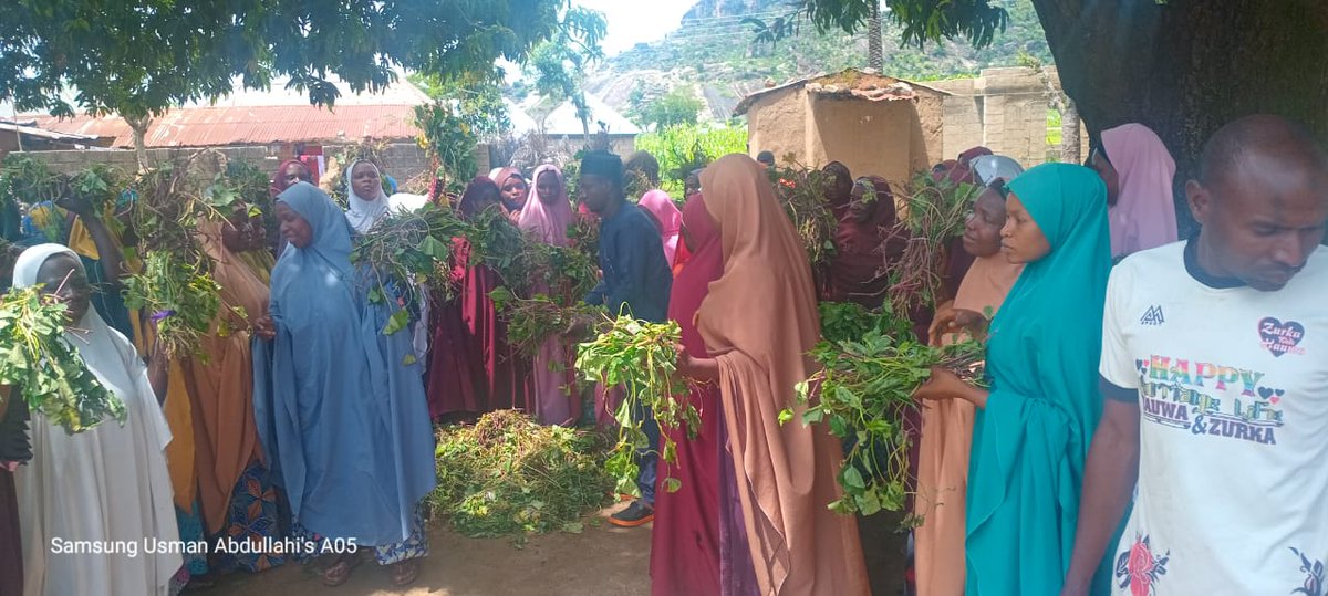 EsomchiF's tweet image. In Kogi Community (Dass LGA, Bauchi State), we trained farmers—mostly women—on good agronomic practices, nutrition &amp;amp; economic opportunities of #OFSP. Vines for planting &amp;amp; roots for households were shared. A step toward stronger nutrition &amp;amp; incomes!  #PropcomPlus