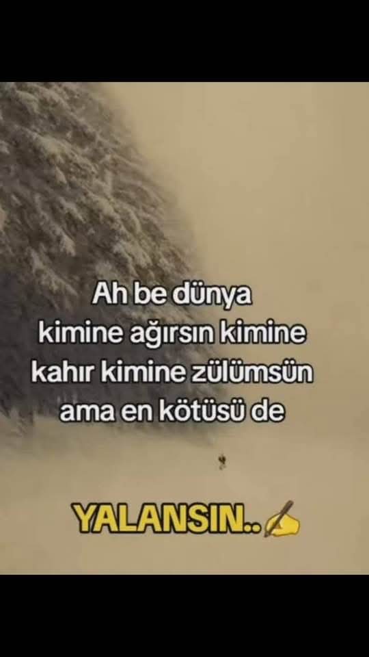 Savaş0606 (@sava060612) on Twitter photo 