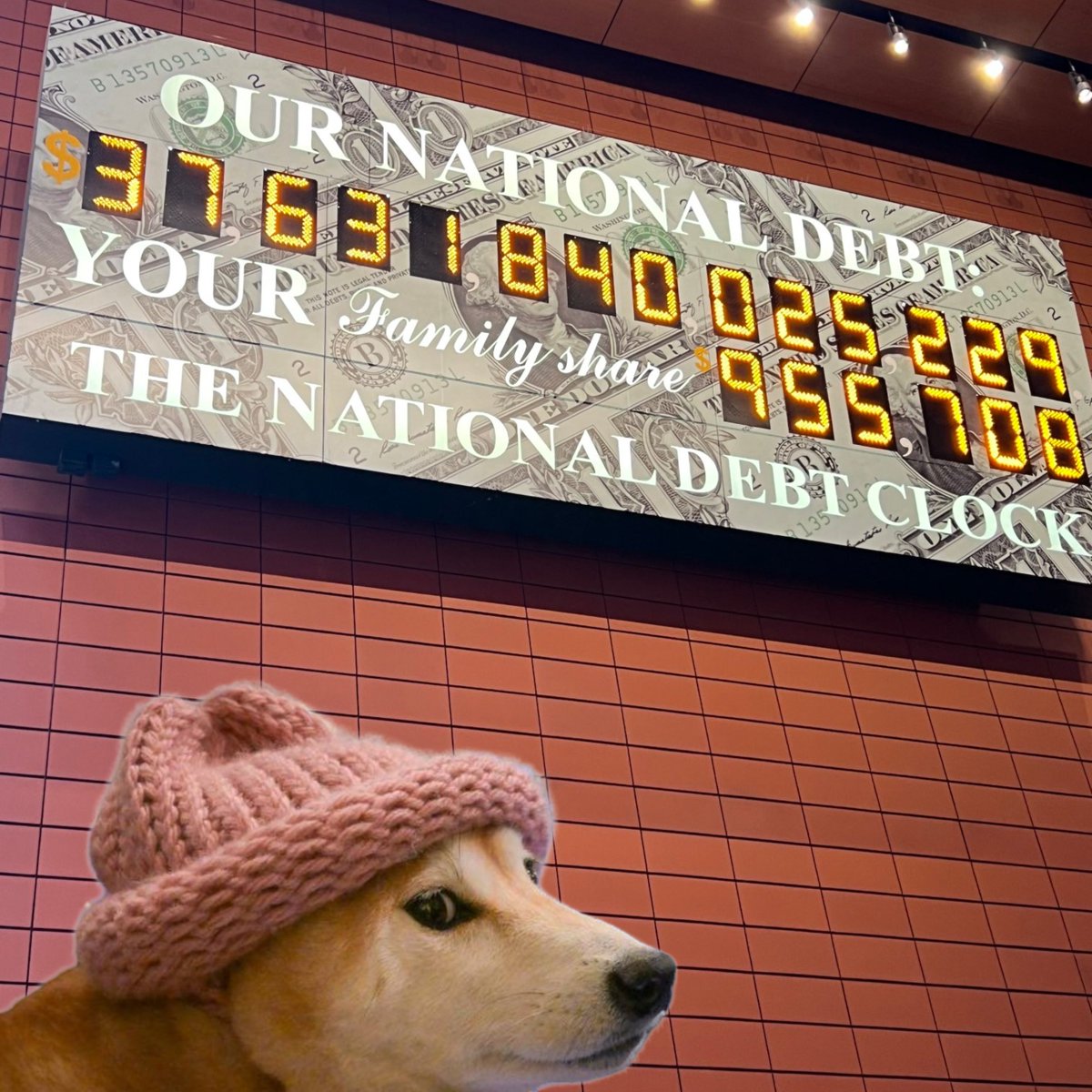 dogwifcoin's tweet image. 