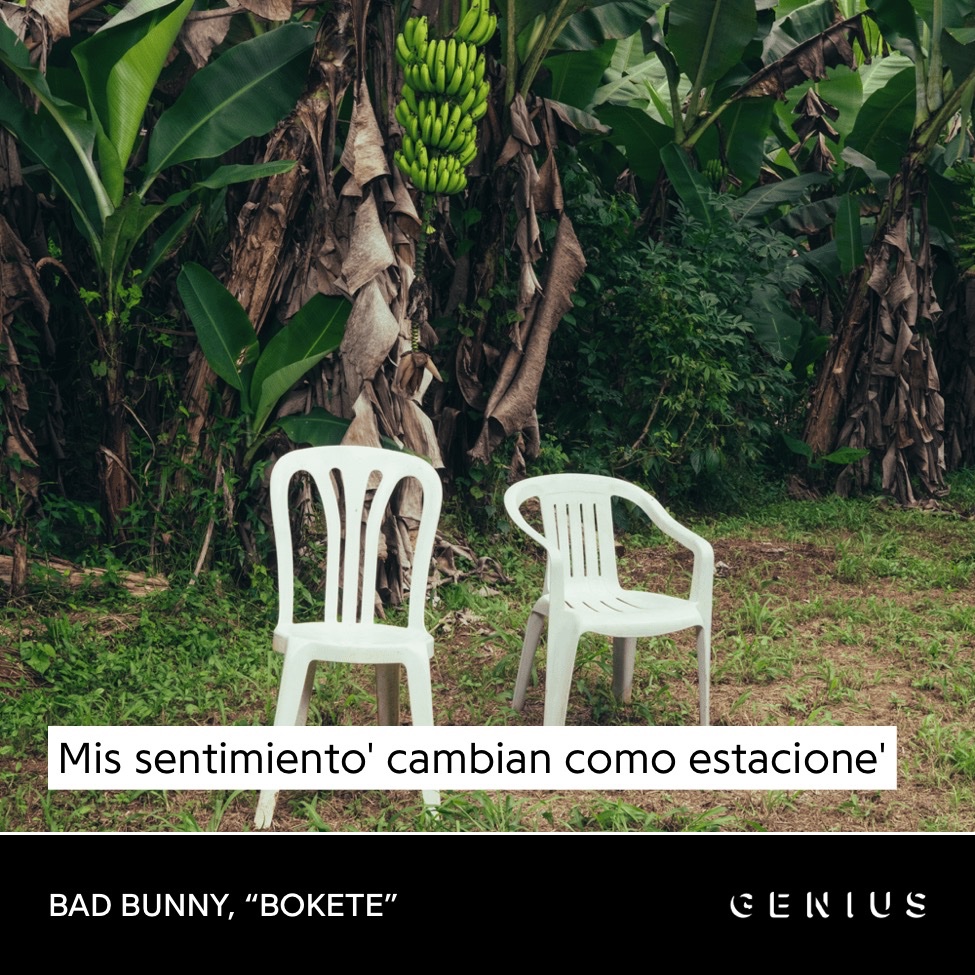 TheLordeCult's tweet photo. Lorde and Bad Bunny have more in common than you’d think https://t.co/JbaDp2mNzs
