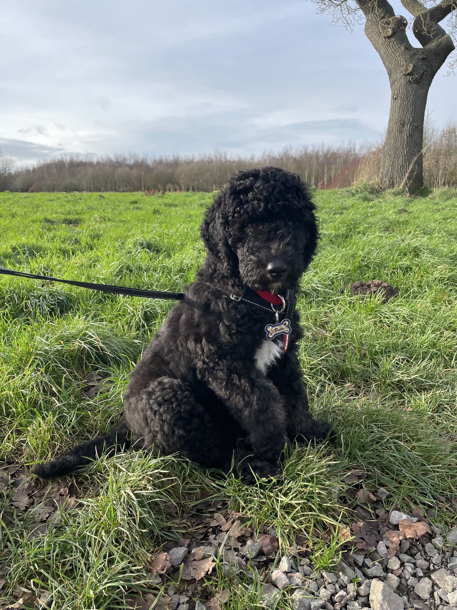 MoTMaster - Repeal the Online Safety Act tweet media