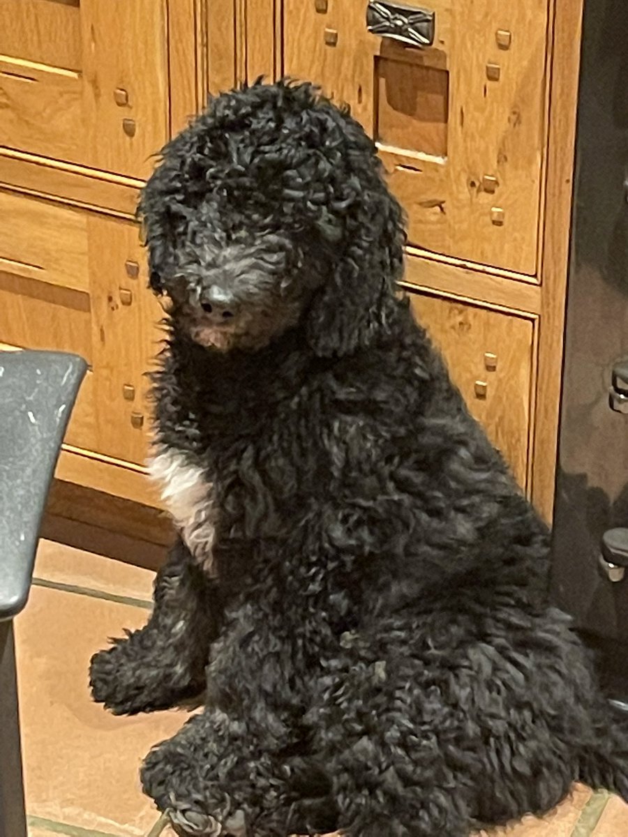 MoTMaster - Repeal the Online Safety Act tweet media