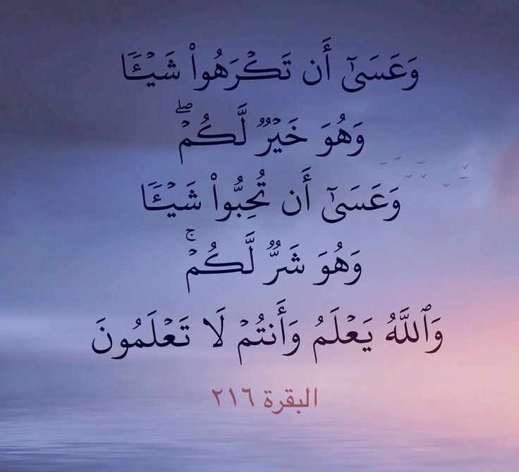 وَاللَّهُ يَعْلَمُ وَأَنتُمْ لَا تَعْلَمُونَ🩷..