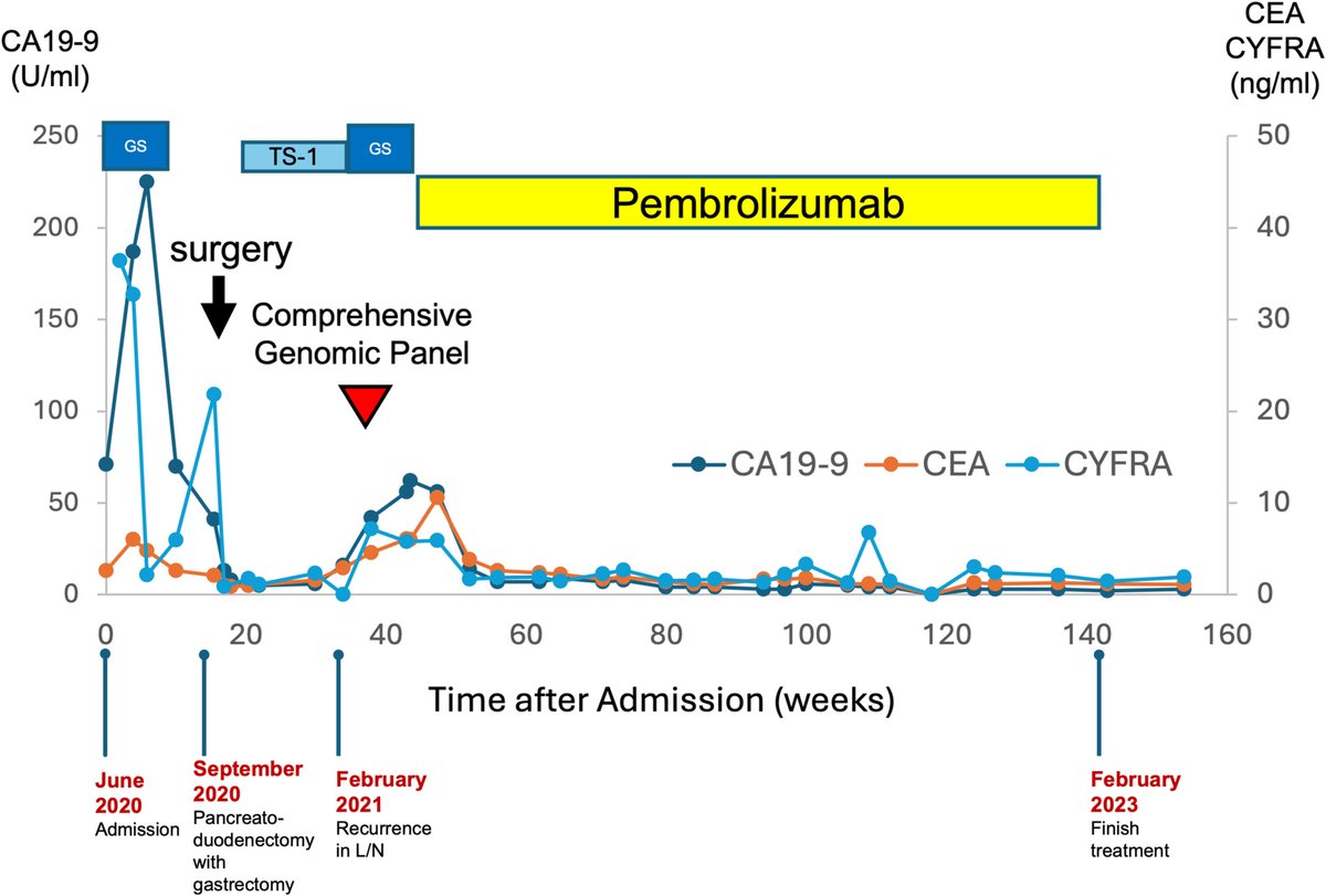 Wiley_CancerRep's tweet image. Sasaki et al. report a case where comprehensive genomic profiling identified microsatellite instability, high tumor mutational burden &amp;amp; actionable genetic mutations in cancer of unknown origin and gastric cancer.
doi.org/10.1002/cnr2.7…
#CancerReports #Wiley #CaseReport