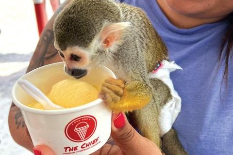 These mom-and-pop shops have found that successful promotions are more about creativity and thoughtfulness than having a big marketing budget. tinybfs.com/t/ck0s0J