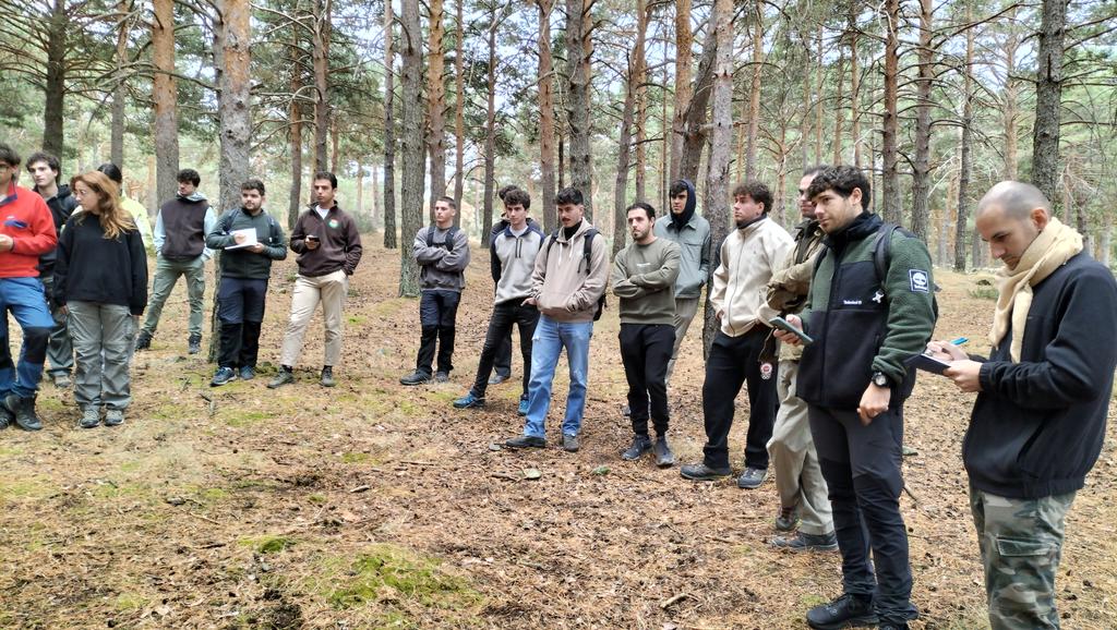 SoniaRoigGomez's tweet image. Repoblaciones con más de 100 años en el monte Perímetro de Canencia #selviculturaadaptativa #diversificacion #gestionforestalsostenible @MontesUPM