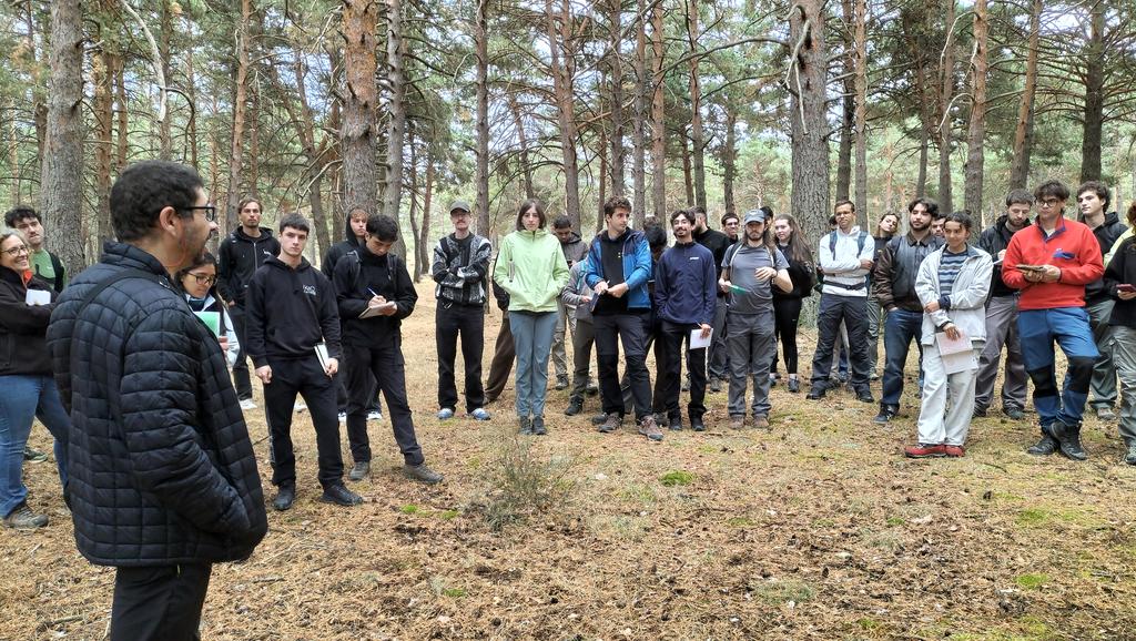 SoniaRoigGomez's tweet image. Repoblaciones con más de 100 años en el monte Perímetro de Canencia #selviculturaadaptativa #diversificacion #gestionforestalsostenible @MontesUPM