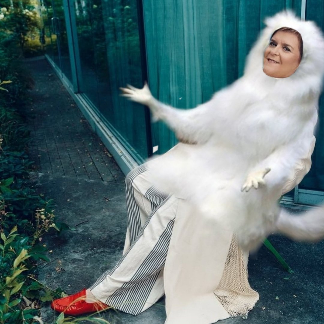 ♀️🇺🇦✨Juniper the Feminist ✨🇺🇦♀️ tweet media