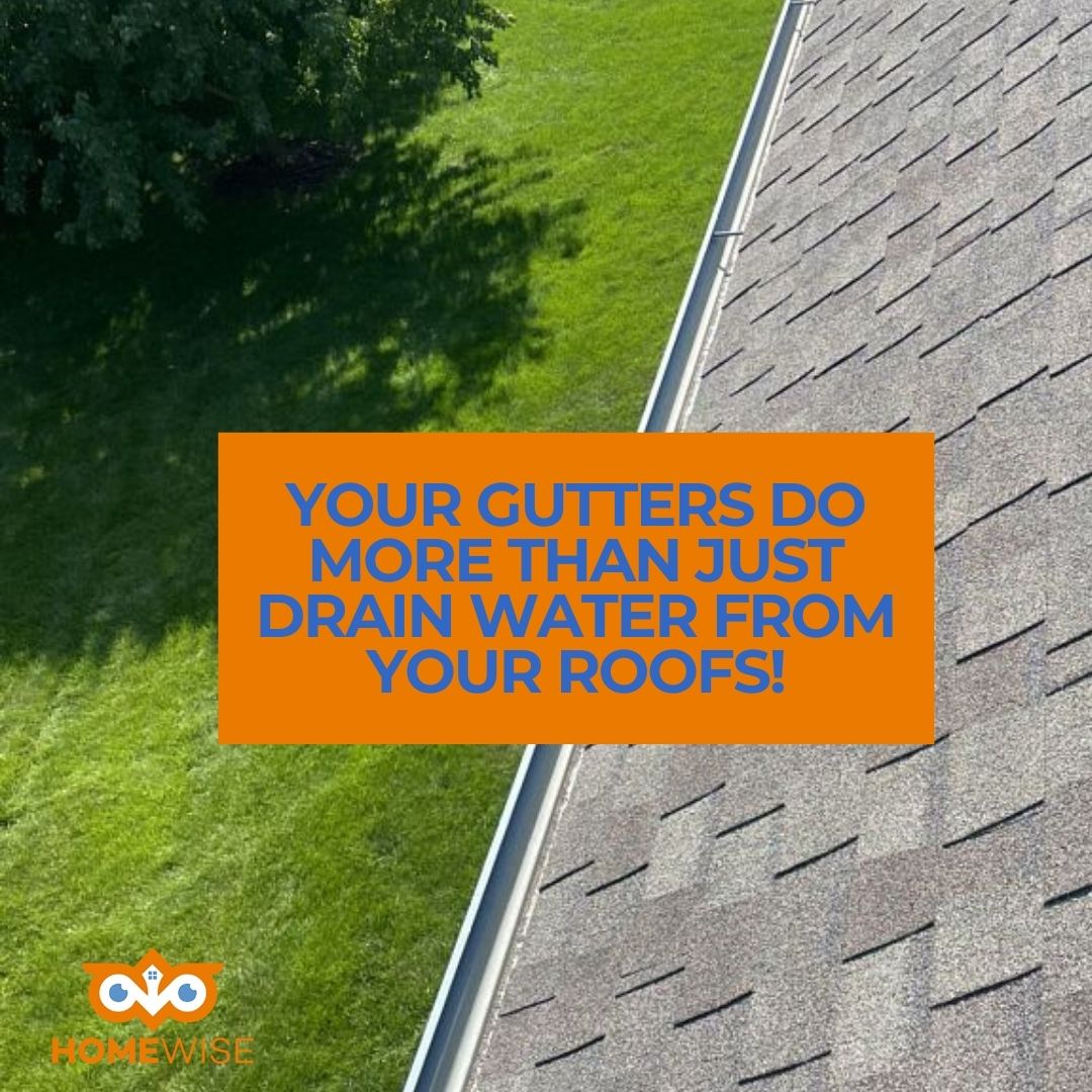 HomeWiseOmaha's tweet image. Your gutters do more than drain—they protect your home from top to bottom. We install systems that last & look great. 💧🏠
#homewiseroofing #gutterprotection #omahaexperts #exteriorcare #onestopsolution