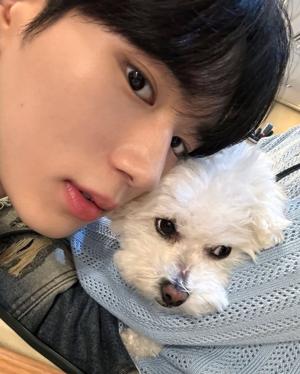 _alphadrive1_'s tweet photo. “his smile >>> the whole world 🌸 and the puppy just completes the picture”

#ALPHADRIVEONE #ALD1 #ALD1好きな人と繋がりたい #알파드라이브원 #JUNSEO https://t.co/YRJx02FGbg