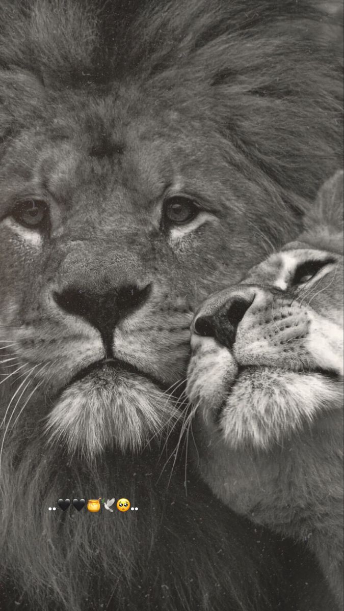 KH__8111's tweet image. #كلام_في_الخاطر

تخفي هيامك وانت ميت وملتاع ....

#بس_حبيت_أقول