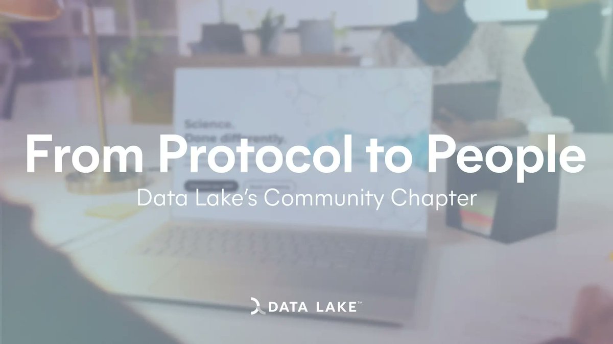 Data Lake Token tweet media