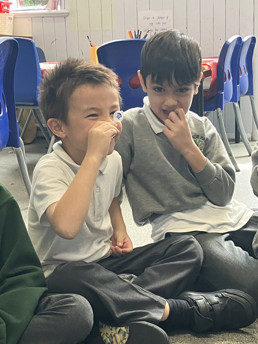 ManorParkSchSM1's tweet image. Today Year 1 have had a great time exploring their senses! We closed our eyes and listened to different sounds, and we smelled different scents and tried to guess what they were. Such exciting practical science learning!🧑‍🔬#WeAreLEO #MPPAscience