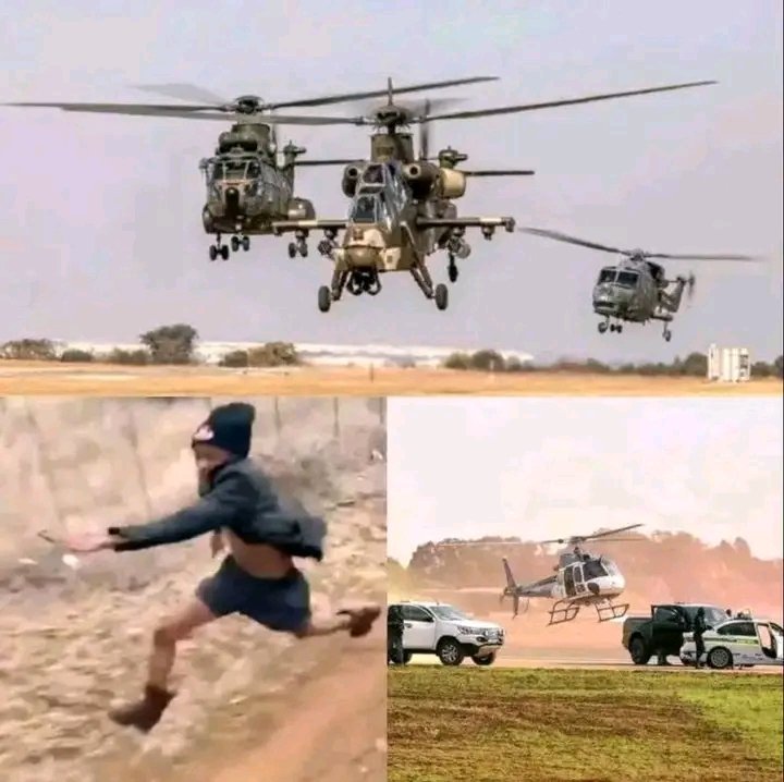 `Bro I have a business idea`

2 days later: