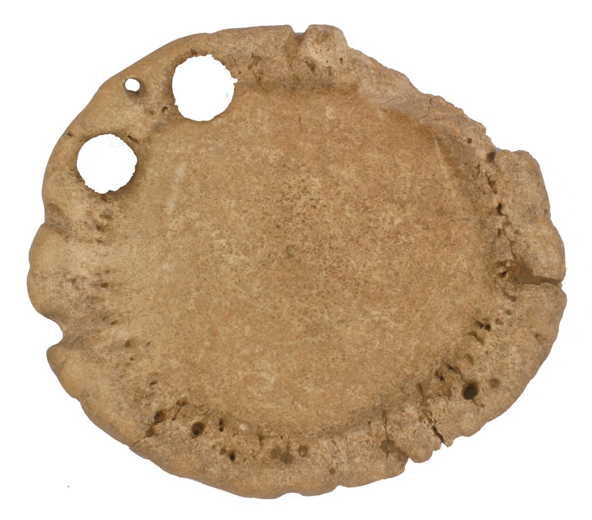 🦴 Conférence à ne pas manquer !
📅 9 octobre – 18h 
ASSOCIATION MONEGASQUE DE PREHISTOIRE
« Quand l'artisan tombe sur un os ! Du Néolithique au Moyen Âge »
Avec Isabelle Rodet-Belarbi,
Imap@gouv.mc
#Archéologie #Préhistoire #MoyenÂge #MuséeMonaco #Archéozoologie #Conférence