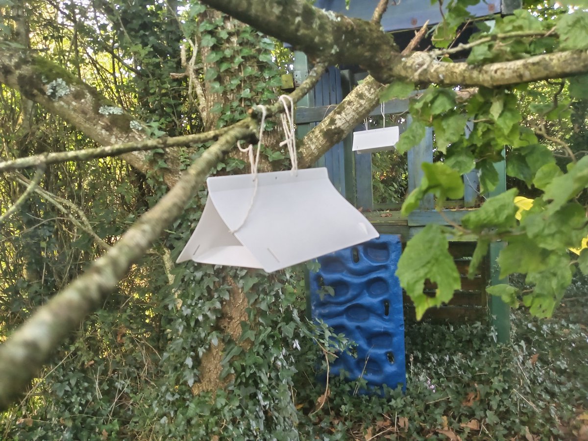 James Powell tweet media