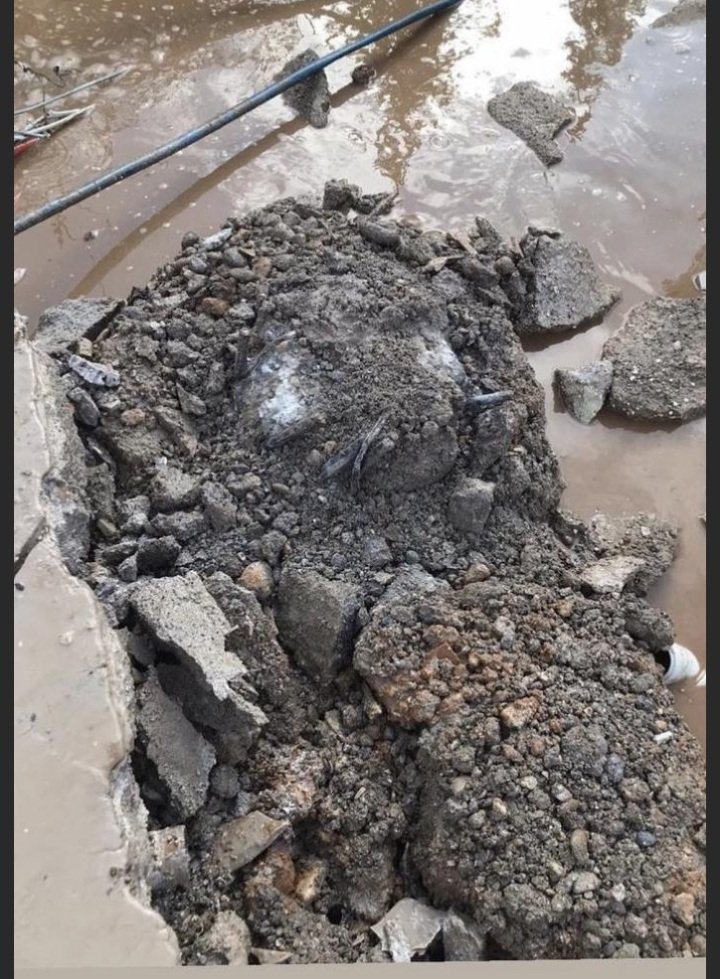 Kahramanmaraş'ta etrafındaki hiçbir apartman yıkılmazken kolonları kesildiği yıkılan apartmanı davası aklanamaz...

#EzgiAptDavasıAklanamaz