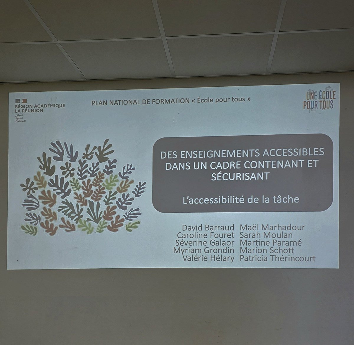 IEN-Saint-Louis-Reunion tweet media