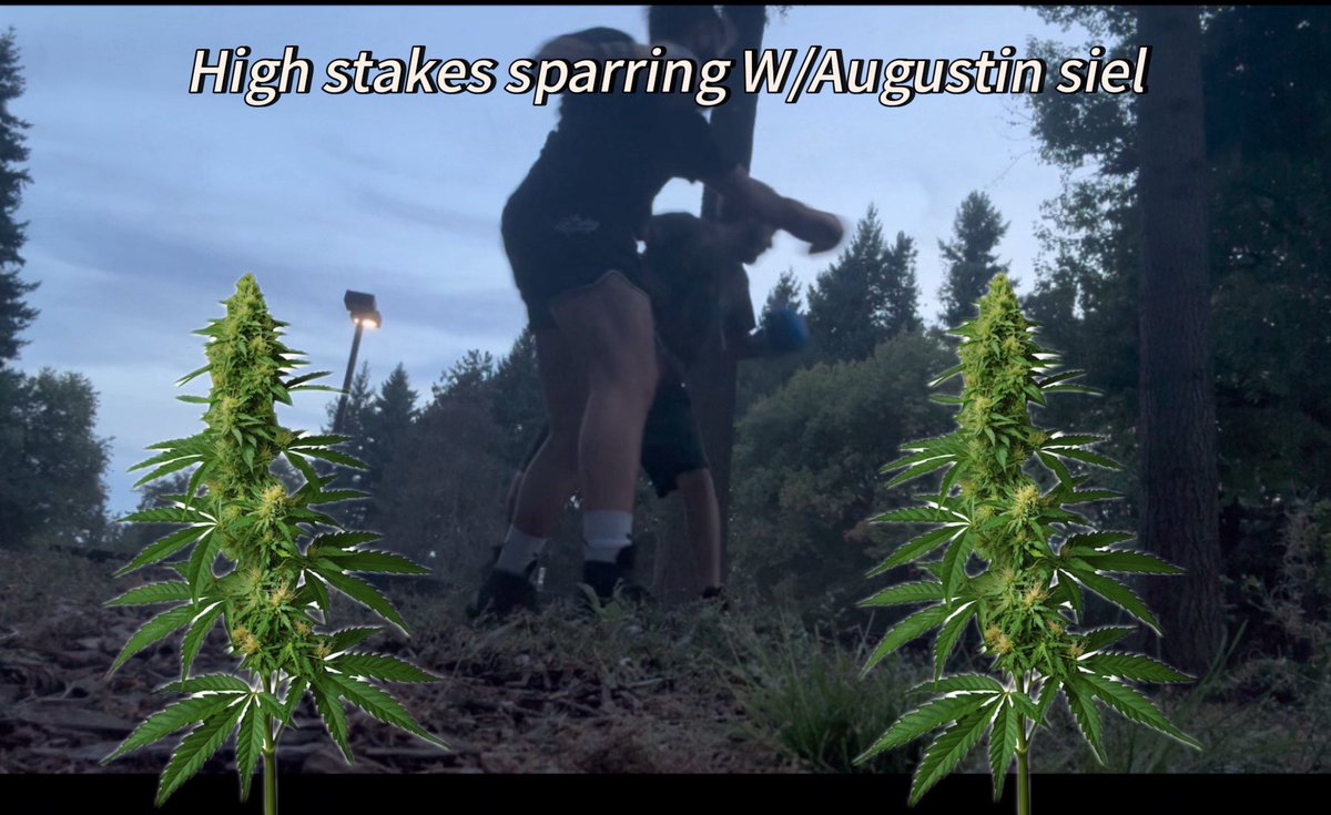 High Stakes Sparring W/<a href="/augustin_siel/">Augustin Siel</a> drops in less than an hour!

11 PM PST is when it premiers on my YouTube channel‼️ make sure to tune in like and subscribe if you want more content like this!

Link 👇 

youtube.com/@royaltyboxing…

#420 #Boxing #FutureFoundation #Breakout007