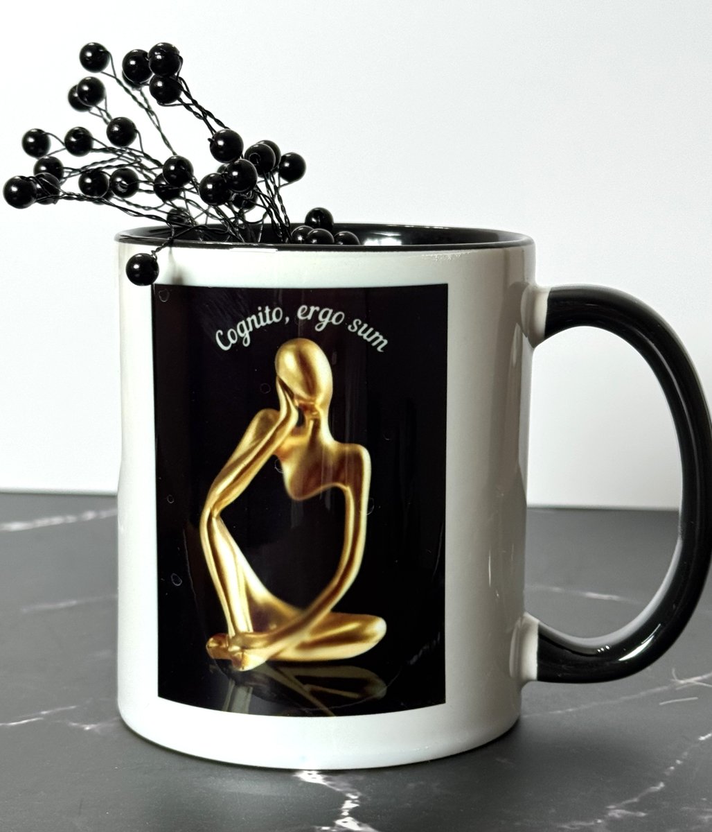 MathFastLane's tweet image. Rene&apos; Descartes created the system of ordered pairs to represent points on a plane that changed the world of mathematics...also using letters as variables. &quot;Cognito, ergo sum.&quot; I think, therefore I am. This mug is a reminder to just think.

WhiteRabbitMugs.com
