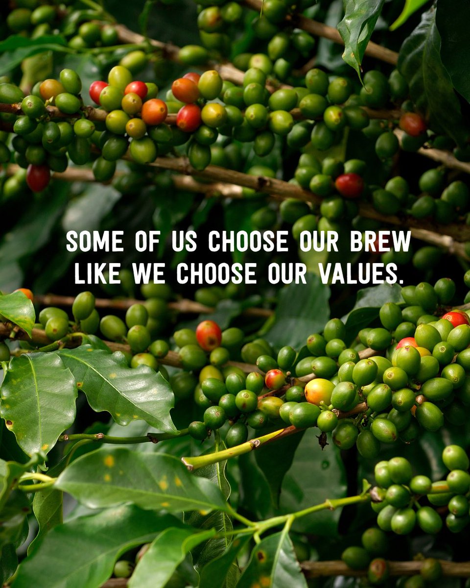 Marley Coffee tweet media