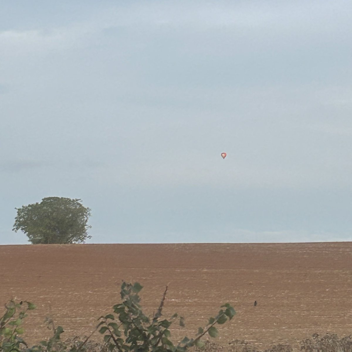 #spottheballoon