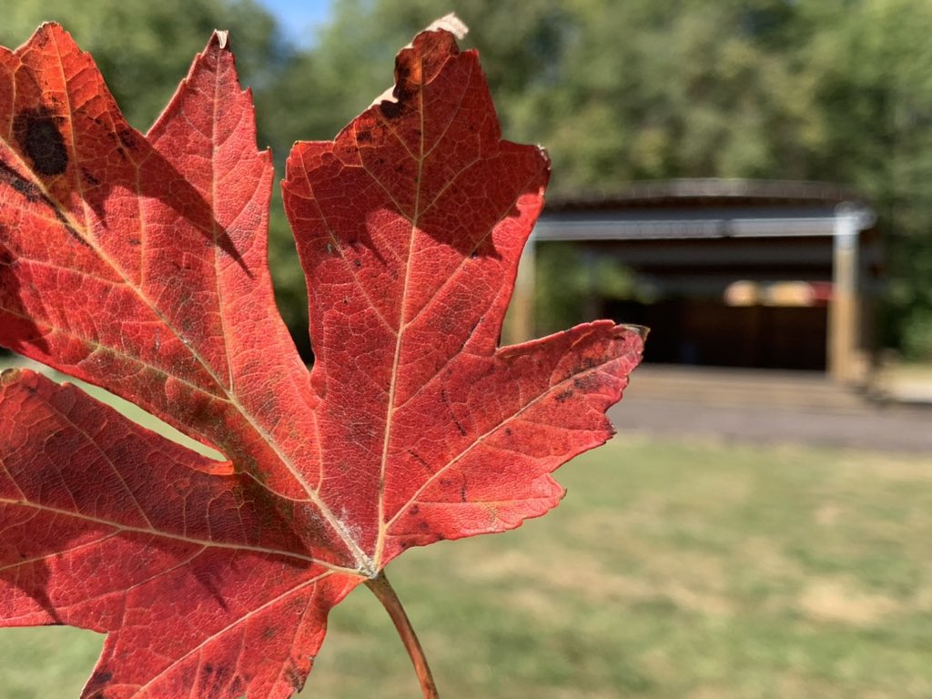 Mallow Run Winery's Harvest Festival beings at noon on Oct. 6 and includes family-friendly activities, local vendors, food trucks, and of course, live music. Learn more: festivalcountryindiana.com/harvest-festiv… #festcountryin