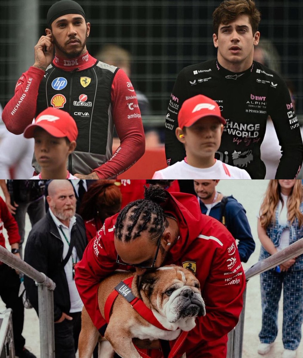 AlpineArg_'s tweet photo. QEPD Roscoe Hamilton 🕊️

Estamos con Lewis 🩷 https://t.co/0gKao9e9EI