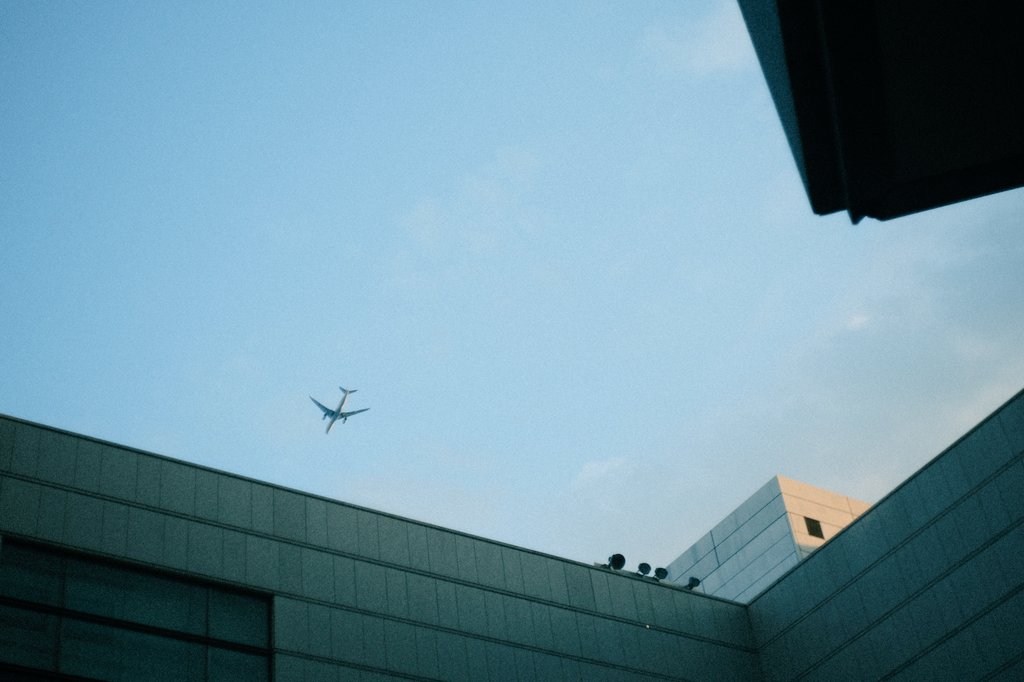 気づいたらもう空が秋で寂しい